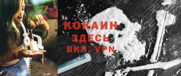 spice Бородино