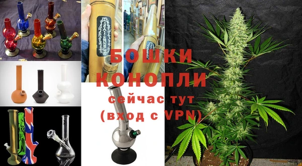 spice Бородино