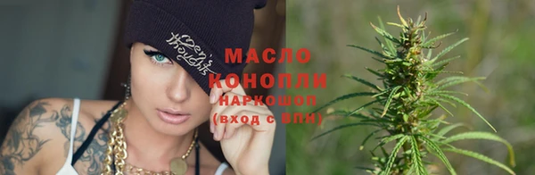 spice Бородино