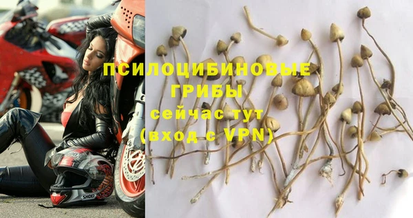 шишки Бронницы