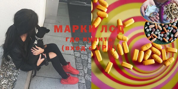 spice Бородино