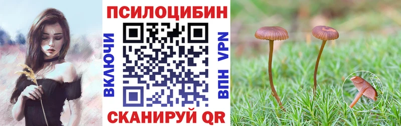Псилоцибиновые грибы Cubensis  Купить закладки  Хотьково 
